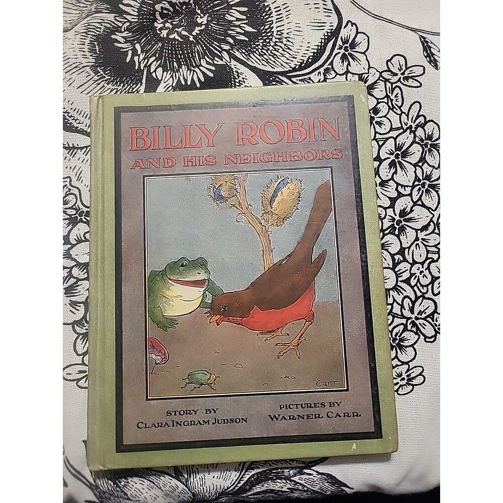 Vintage "Billy Robin and His Neighbors"  HB 1917 - First Edition Rand McNally ¤